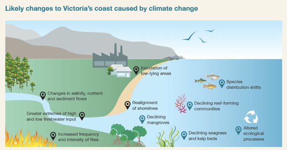 Victorian Coastal Council science panel report & brochure - Science ...